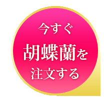 即日届けたい方はコチラ