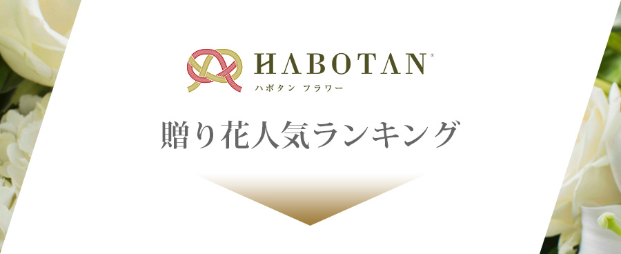 ハボタンフラワー 贈り花人気ランキング