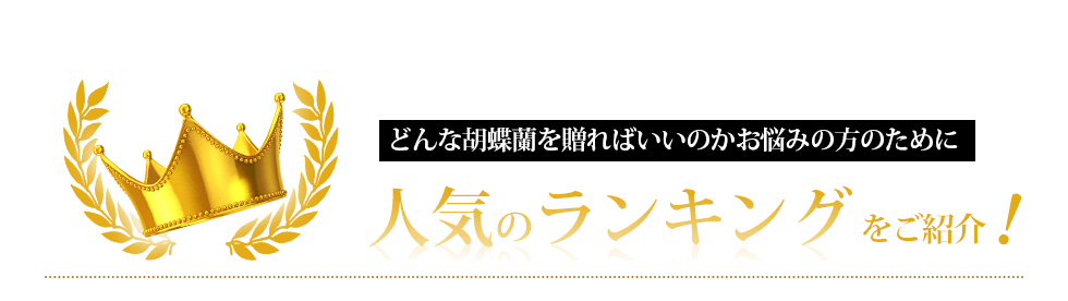 どんな胡蝶蘭を贈ればいいのかお悩みの方のために人気のランキングをご紹介！