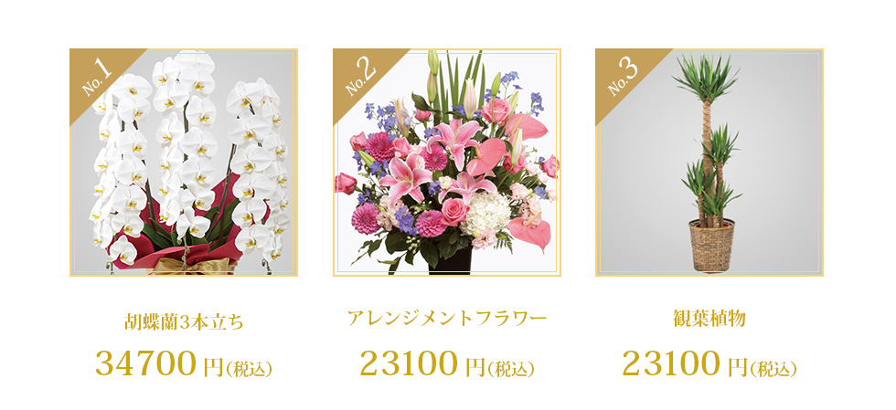 No.1 胡蝶蘭3本立ち30000円 No.2 アレンジメントフラワー 20000円 観葉植物 20000円