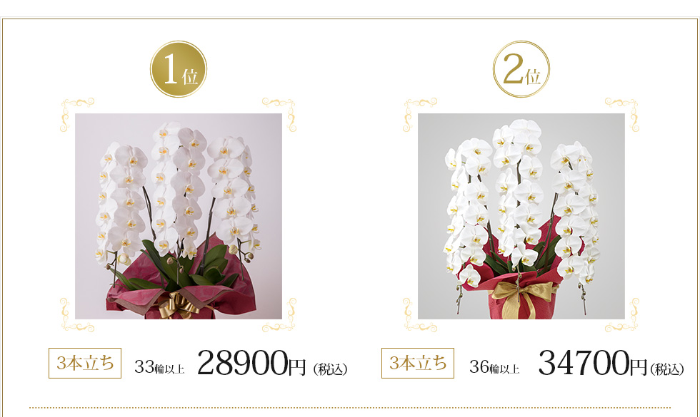 1位 3本立ち 39輪以上 30,000円　2位 3本立ち 21輪～27輪 20,000円
