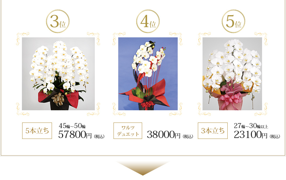 3位 5本立ち 45～50輪 50,000円　ワルツ・デュエット 30,000円 3本立ち 30輪～37輪 25,000円