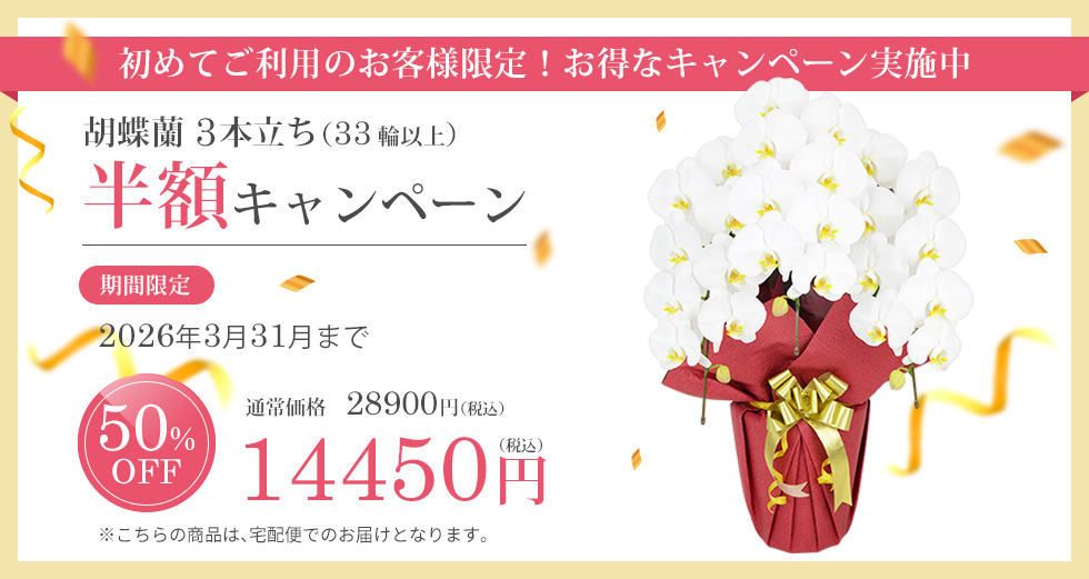 半額キャンペーン