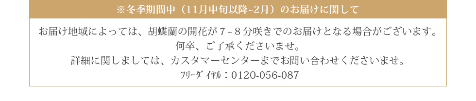 冬季期間中、お届け地域によっては、胡蝶蘭の開花が７~８分咲きでのお届けとなる場合がございます。何卒、ご了承くださいませ。