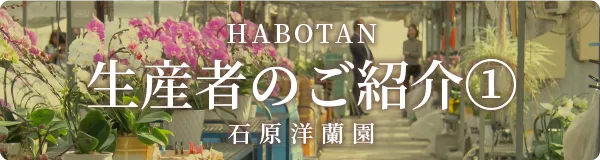 生産者ご紹介 ＜奥山洋蘭園＞