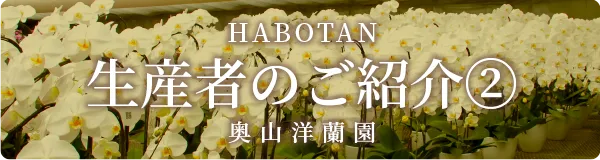 生産者ご紹介 ＜石原洋蘭園＞