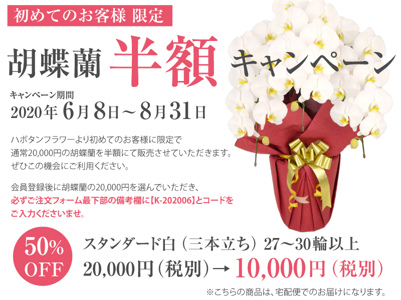 初めてのお客様限定!胡蝶蘭半額キャンペーン”