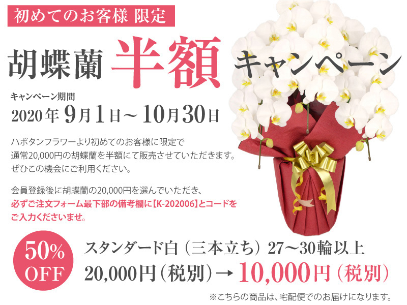 初めてのお客様限定!胡蝶蘭半額キャンペーン”