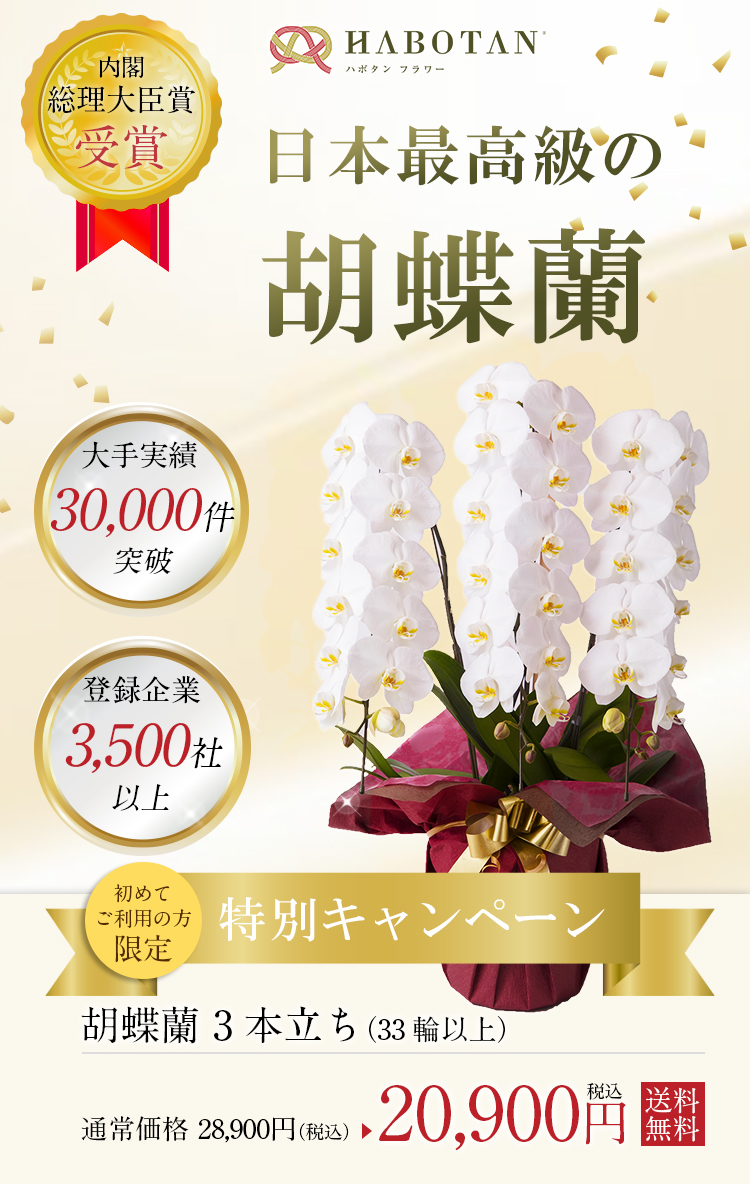 新規8,000円OFFキャンペーン