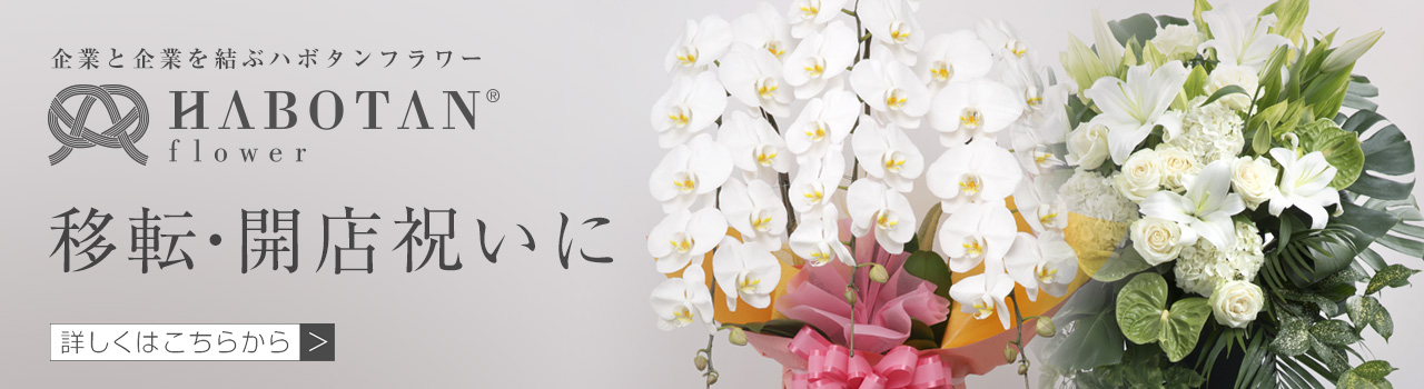 法人向け花の配達 ギフト Habotan Flower ハボタンフラワー 開店祝いの胡蝶蘭 就任祝いのスタンド花 などビジネスシーンに優れたお花をご提案