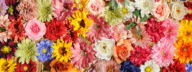 カラーによって異なる お花の色がもたらす印象や効果とは 法人向け花の配達 ギフト Habotan Flower ハボタンフラワー