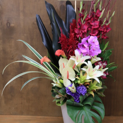 事務所移転祝いのお花 法人向け花の配達 ギフト Habotan Flower ハボタンフラワー