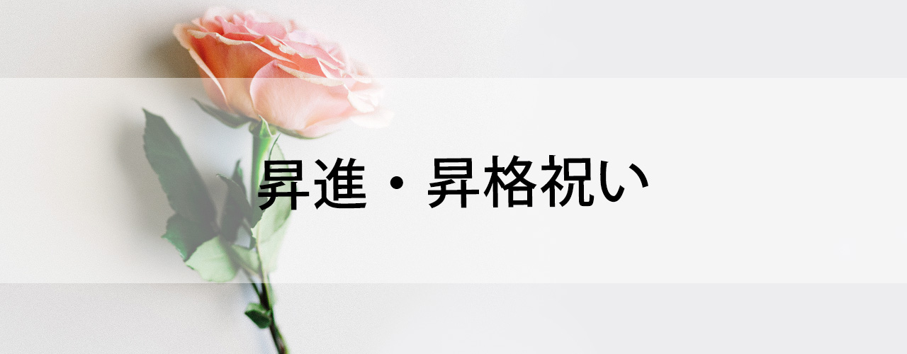 昇進 昇格祝い 法人 個人花の配達 ギフト Habotan Flower ハボタンフラワー