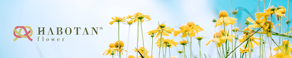 カラーによって異なる お花の色がもたらす印象や効果とは 法人向け花の配達 ギフト Habotan Flower ハボタンフラワー