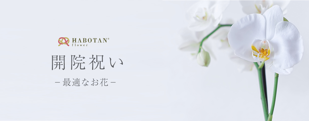 開院祝いに最適なお花 法人向け花の配達 ギフト Habotan Flower ハボタンフラワー