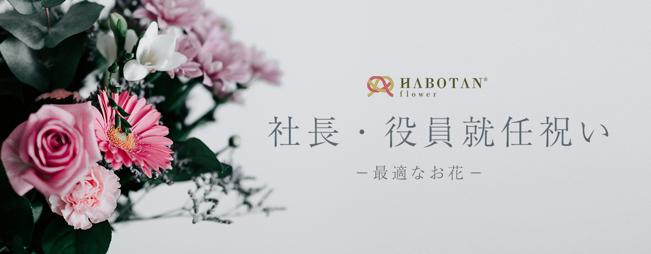 社長 役員就任祝いに最適なお花 法人向け花の配達 ギフト Habotan Flower ハボタンフラワー