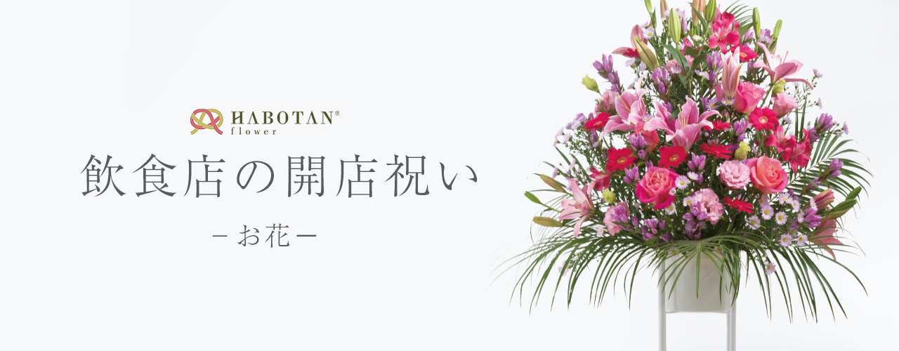 飲食店の開店祝い 法人向け花の配達 ギフト Habotan Flower ハボタンフラワー
