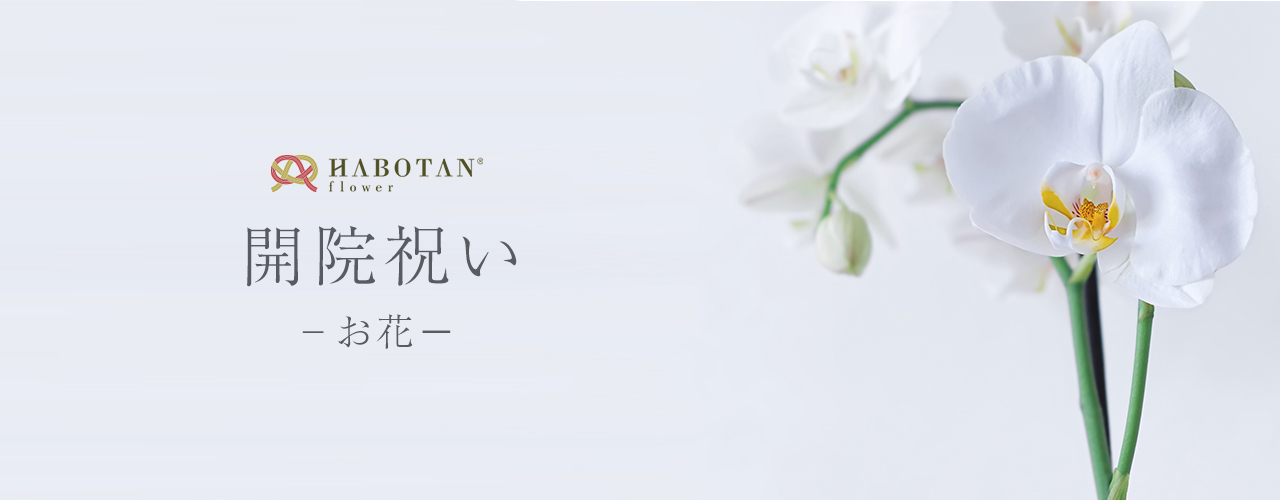 開院祝いのお花 法人向け花の配達 ギフト Habotan Flower ハボタンフラワー