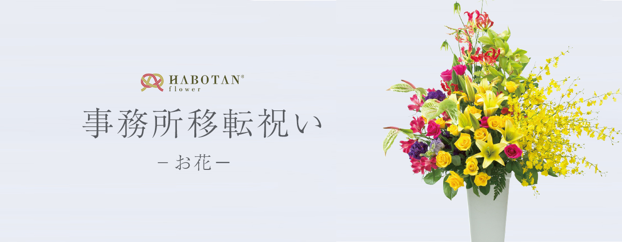 事務所移転祝いのお花 法人向け花の配達 ギフト Habotan Flower ハボタンフラワー