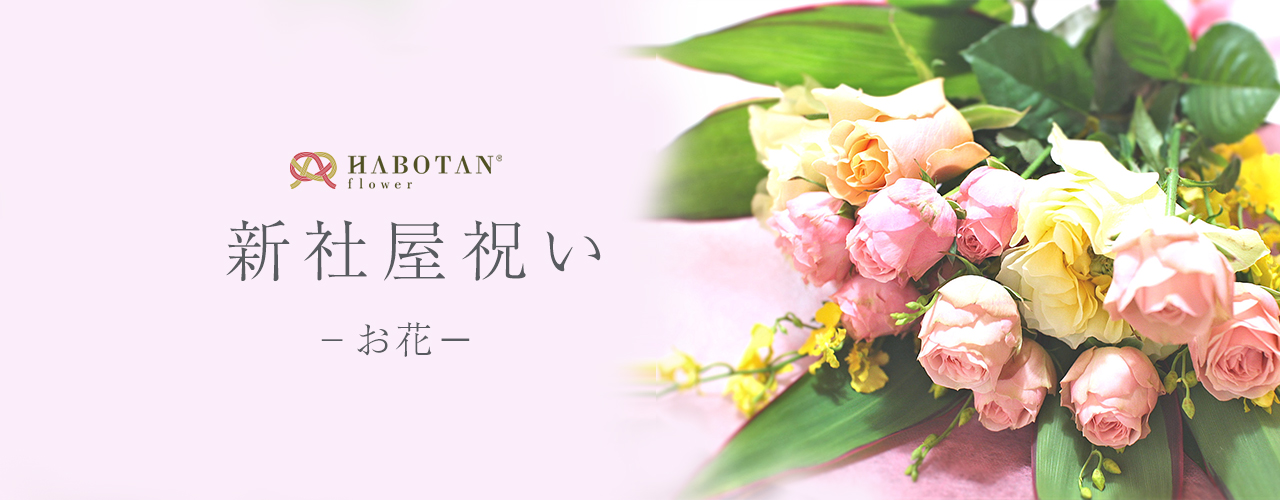 新社屋祝いのお花 法人向け花の配達 ギフト Habotan Flower ハボタンフラワー