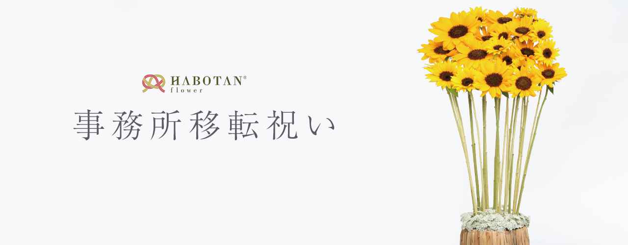 事務所移転祝い 法人向け花の配達 ギフト Habotan Flower ハボタンフラワー