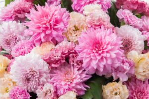 花束の色に意味はあるの？花の色がもたらす印象や効果とは