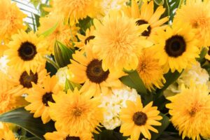 花束の色に意味はあるの？花の色がもたらす印象や効果とは