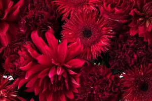 花束の色に意味はあるの？花の色がもたらす印象や効果とは