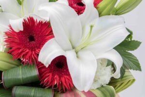 開業祝い・開店祝いのメッセージの書き方と文例を紹介